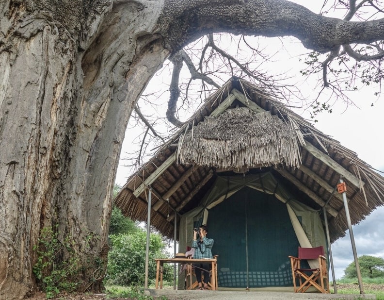 Tarangire Safari Lodge in Tanzania, Africa.